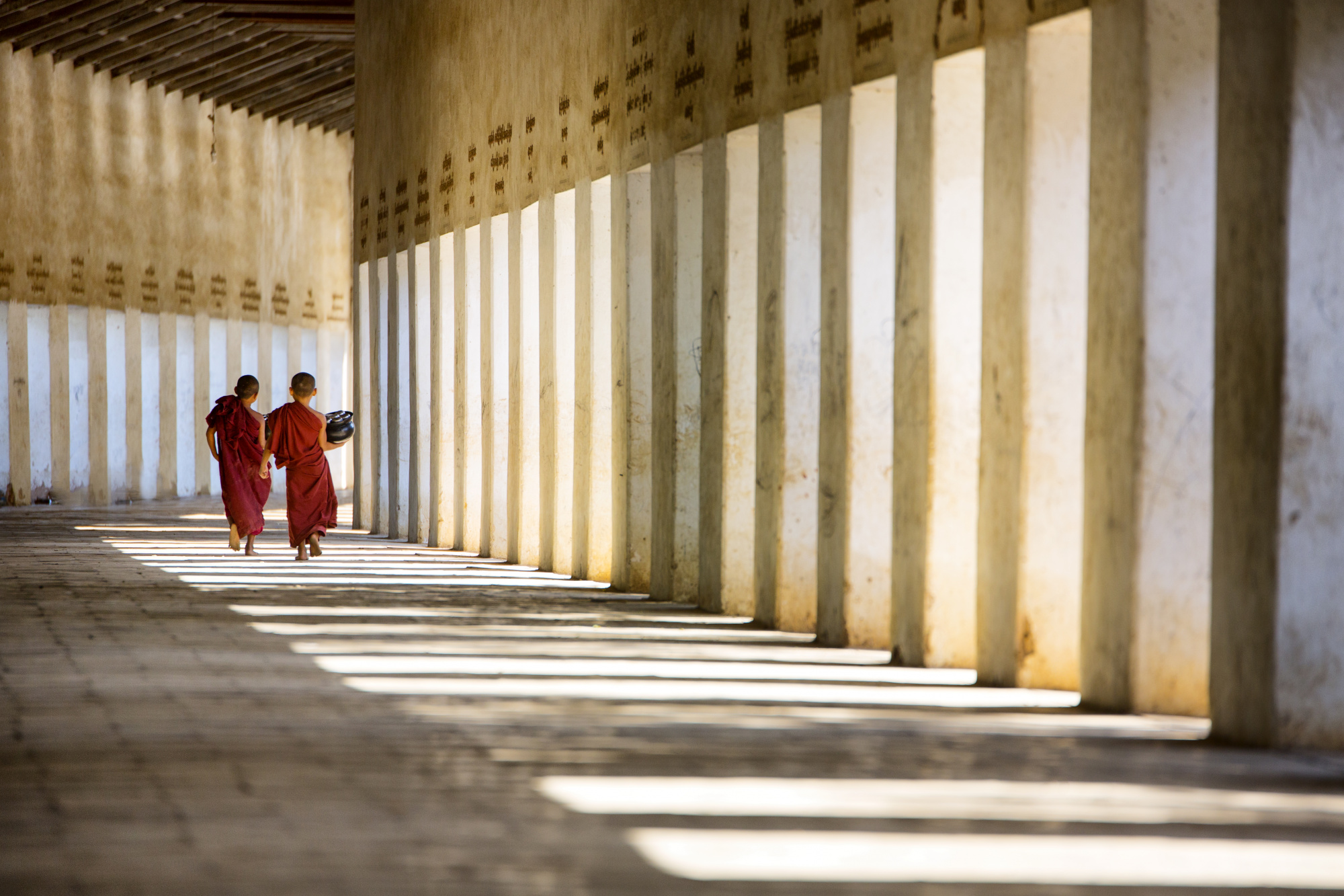 Zen(2011)